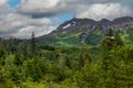Green forest above Girdwood, Alaska, USA Royalty Free Stock Photo