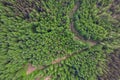 Green forest area with small road. Top down aerial view. Nature scene. Developing forest and parks for future generation concept