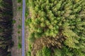 Green forest area with small road. Top down aerial view. Nature scene. Developing forest and parks for future generation concept