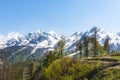 Green forest on the background of snowy mountains in Sochi Royalty Free Stock Photo