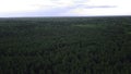 Green forest from a bird's-eye view.Clip. Beautiful long green trees in the landscape next to which you can see the Royalty Free Stock Photo