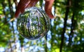 The green forest captured through a crystal lens ball