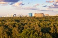 Green forest and city on horizon in summer evening
