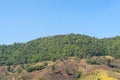 Green forest contrast with deforest in same mountain