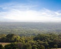 Green forest in the early morning mist Royalty Free Stock Photo