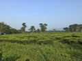 Green forest of East Nepal Jhapa way to Ilam wonderful nature to enjoy it visitors love this place