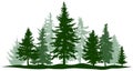 Green forest evergreen pine, tree isolated. Park Christmas tree. Individual, separate objects. Royalty Free Stock Photo