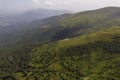 Green forest with fir trees and a meadow near the mountain village Dragobrat, Western Ukraine, Europe Royalty Free Stock Photo