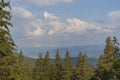 Green forest with fir trees and a meadow near mountain village Dragobrat, Western Ukraine, Europe. Beautiful nature of the Royalty Free Stock Photo