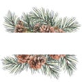 Green forest frame with pine branches and cones. Royalty Free Stock Photo