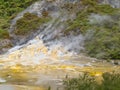 Green forest geothermal geyser Orakei Korako NZ Royalty Free Stock Photo