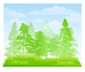 Green Forest and Grass Background