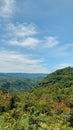 The green forest from the hills in Yogyakarta