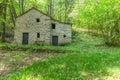 Green forest hues with filtered sunlight and old stone cottage Royalty Free Stock Photo