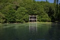 Green forest by the lake in reflection in the water beauty in nature . Clean green trees reflection on the mountain lake Royalty Free Stock Photo