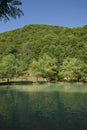 Green forest by the lake in reflection in the water beauty in nature . Clean green trees reflection on the mountain lake surface Royalty Free Stock Photo