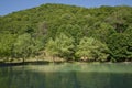 Green forest by the lake in reflection in the water beauty in nature . Clean green trees reflection on the mountain lake surface Royalty Free Stock Photo