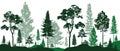 Green Forest landscape silhouettes panorama with pines, fir trees, cedars