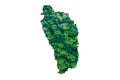 Green Forest Map of Dominica Royalty Free Stock Photo