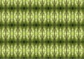 Green Forest Matrix. Beautiful Nature Pattern Background