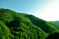 Green forest on the mountain, nature, Spain