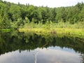 Green forest in the mountains in summer. nature photography.Forest and beautiful hillside scenary. lake in the forest Royalty Free Stock Photo