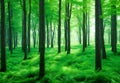 Green Forest, Nature Loving, Fight Global Warming, Save Planet Earth