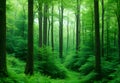 Green Forest, Nature Loving, Fight Global Warming, Save Planet Earth