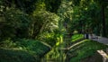 green forest park next to the thermal baths in Heviz, Hungary