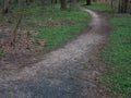 Green Forest Path Royalty Free Stock Photo