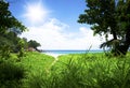 Green forest with path to white beach. Seyshelles Royalty Free Stock Photo