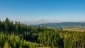 Green forest of pine tree and mountain landscape. Giant Mountains, Karkonosze, Sudets/Sudety, Poland. Royalty Free Stock Photo