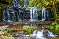 The green forest. Purakaunui Falls