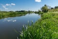 Green Forest and River Royalty Free Stock Photo