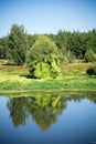 Green Forest and River Royalty Free Stock Photo