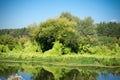 Green Forest and River Royalty Free Stock Photo