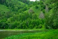 Green forest river shore landscape. Forest river shore panorama. Summer forest river shore view.