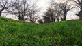 Green forest road. Nature. Road. Natural environment. Forest nature. Road in nature. Nature environment, branches and trees. Royalty Free Stock Photo