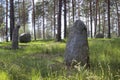 Green forest with scattered mysterious stones