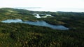 The forest seen from air