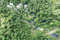 Green forest swamp landscape. swampy land and wetland, marsh. aerial photo