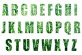 Green forest text on white background