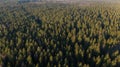 Green Forest. Treetops. Aerial view. Spring forest. Royalty Free Stock Photo