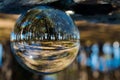 Green Forest view in clear crystal glass ball. Royalty Free Stock Photo