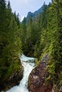 Green forest waterfall stream water Tatra mountains Carpathians Royalty Free Stock Photo