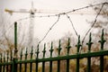 Green forged iron fence with barbed wire Royalty Free Stock Photo