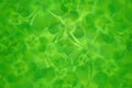 Green four leaf clover / shamrock seamless pattern background Royalty Free Stock Photo