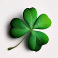 Green four-leaf clover on white isolated background illustration. Green four-leaf clover symbol of St. Patrick\' Royalty Free Stock Photo