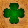 Green four-leaved shamrock in old paper background