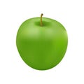 A green fresh apple on white background.